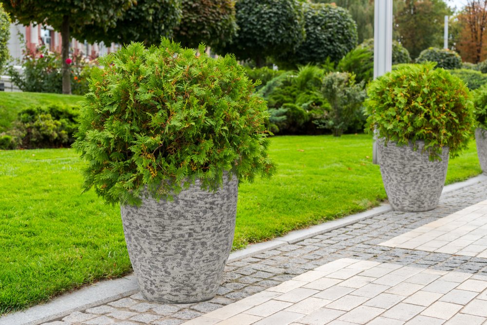 G21 Květináč G21 Natur Plump 44 x 61 x 44 G21-6392831 - thumb (2)