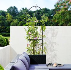 Arc de gradina pentru trandafiri si plante cataratoare, coloana 185 x 40 cm