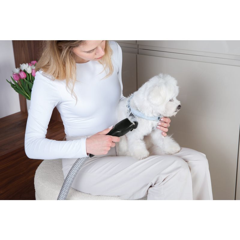 Aspirator pentru îngrijirea animalelor de companie 350W Colecția Black Rose