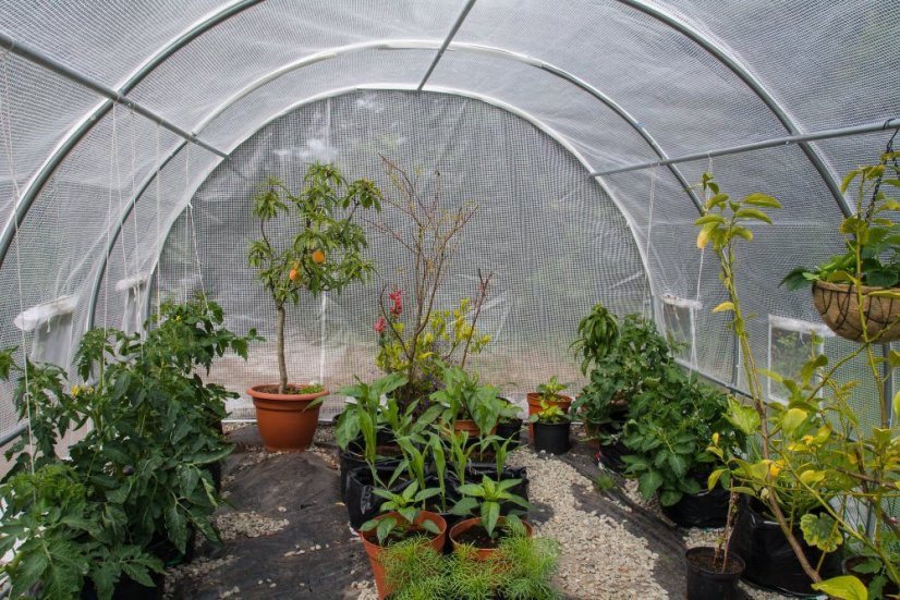 Arbore din folie G21 300 x 600 x 200 cm, alb