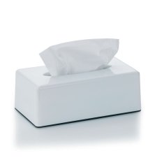 Kosmetický box na kapesníky PANNO plast, bílý