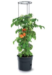 Kvetináč Prosperplast TOMATO GROWER na pestovanie paradajok 29,5 cm antracit