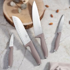 Set cuțite din oțel inoxidabil 4 buc Colectia Taupe Set cuțite din oțel inoxidabil 4 buc Colectia Taupe