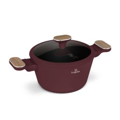 Kastrol s titanovým povrchem a poklicí 20 cm Leonardo Nordic Collection
