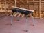 Dielenský stôl Keter Jobmade Portable Table