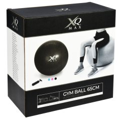 Gymnastický míč GYMBALL XQ MAX 65 cm růžová