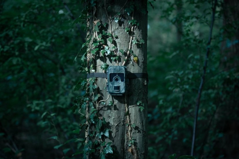 Capcană pentru cameră Camouflage SM4 Pro