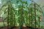 Arbore din folie G21 200 x 300 x 200 cm, verde