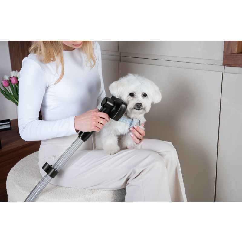Aspirator pentru îngrijirea animalelor de companie 350W Colecția Black Rose