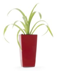 Samozavlažovací kvetináč Linea mini červený 26 cm