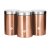 Dóza na potraviny sada 3 ks Rosegold Metallic Line
