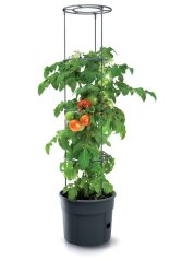 Kvetináč Prosperplast TOMATO GROWER na pestovanie paradajok 39,2 cm antracit