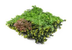 Perete verde artificial G21 Listo Forest, 50x50 cm