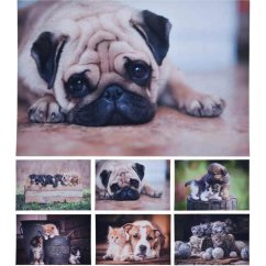 Alfombra de limpieza 58X38cm Bulldog