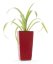 Samozavlažovací kvetináč Linea mini červený 26 cm
