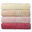 Ručník Leonora 100% bavlna premium starorůžová 50,0x100,0cm