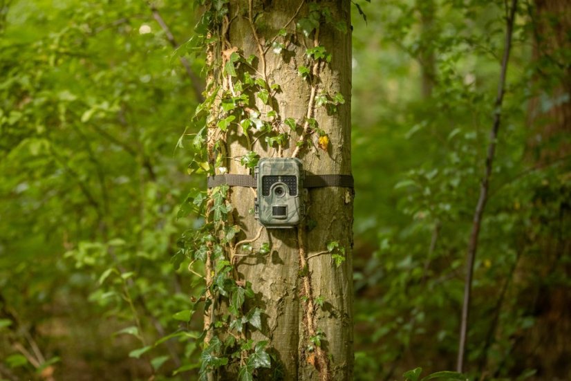 Capcană pentru cameră Camouflage SM4 Pro