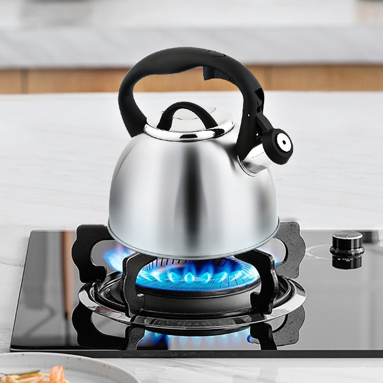 CS KOCHSYSTEME Konvice pískací nerez Bonn 2,5 l CS-067366nere