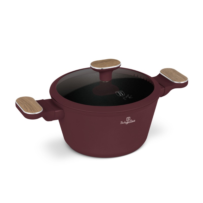 BERLINGERHAUS Kastrol s titanovým povrchem a poklicí 20 cm Leonardo Nordic Collection BH-8300